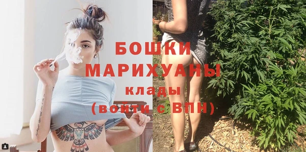дурь Горняк