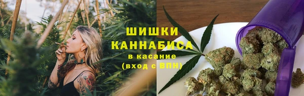 стафф Горнозаводск