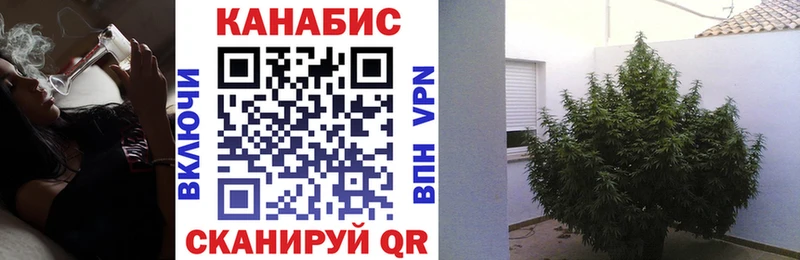 где продают   Березники  МАРИХУАНА план 
